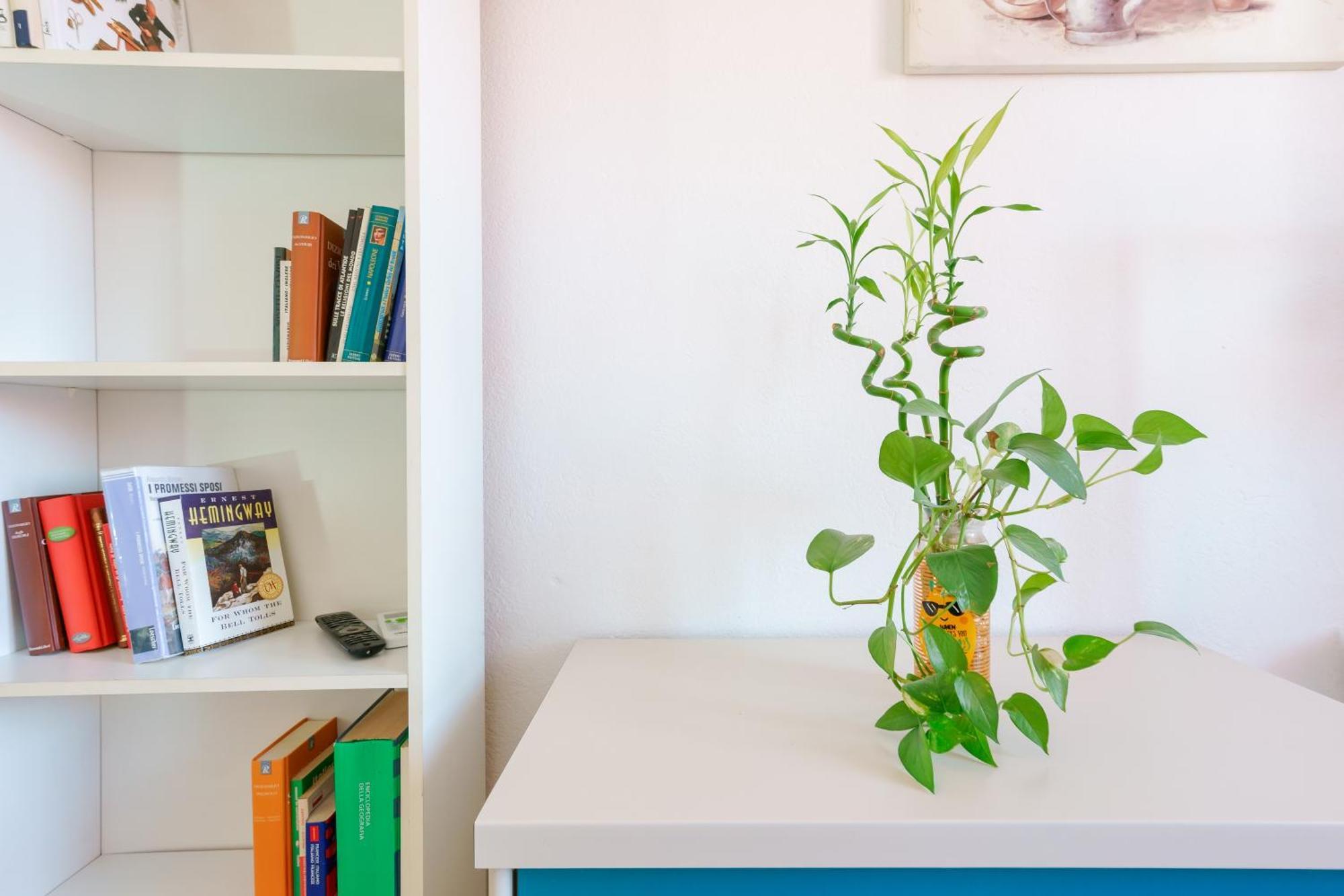 B&B Pothos - Eng Ita - Air Conditioning Wi-Fi Fridge Netflix Local Guide - Aria Condizionata, Frigo, Internet, Guida Locale Cagliari Buitenkant foto