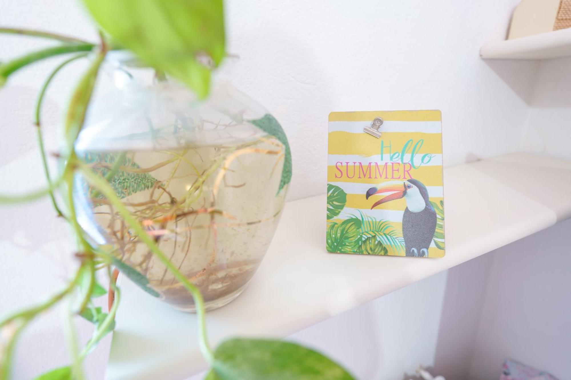 B&B Pothos - Eng Ita - Air Conditioning Wi-Fi Fridge Netflix Local Guide - Aria Condizionata, Frigo, Internet, Guida Locale Cagliari Buitenkant foto